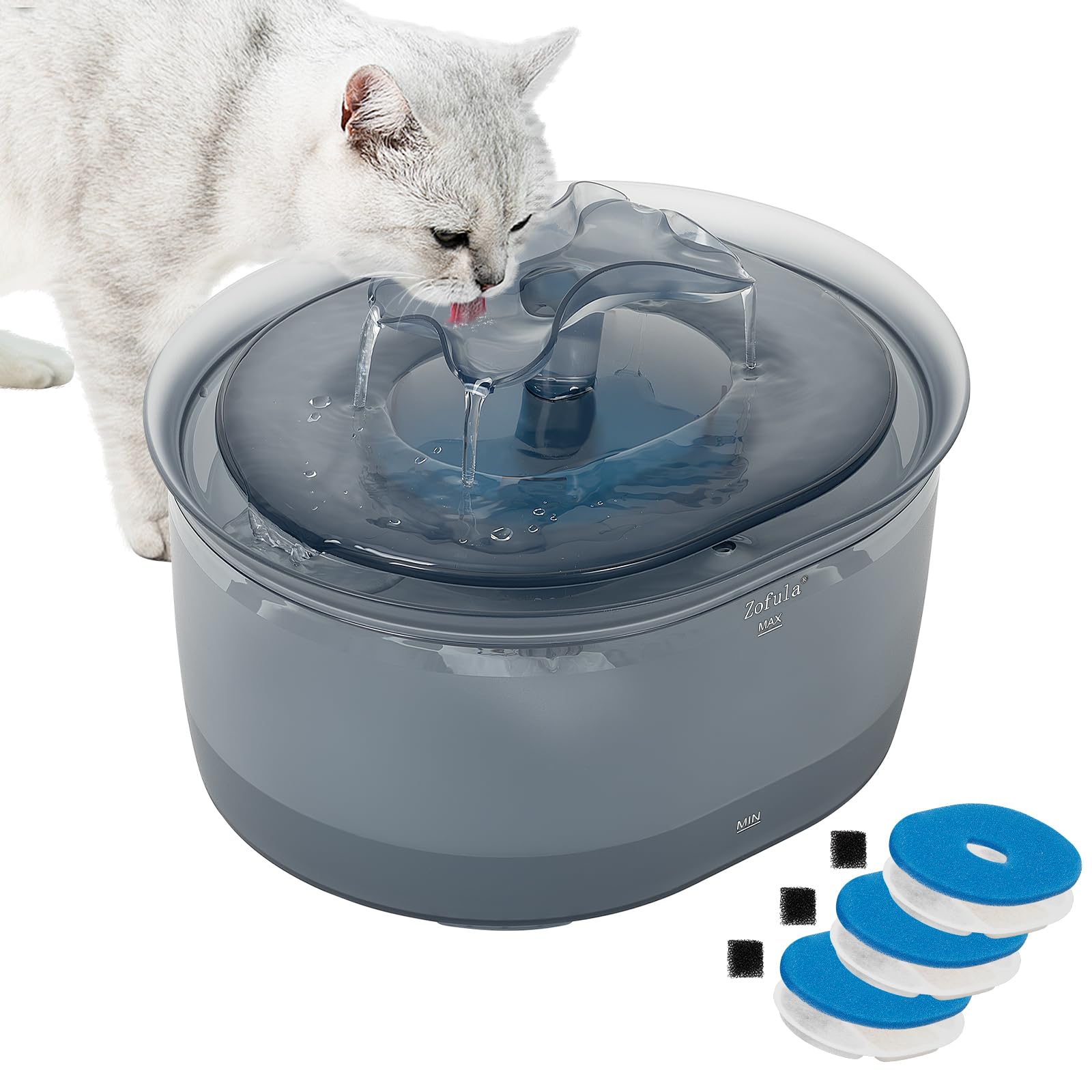 Fontaine à eau silencieuse pour chat