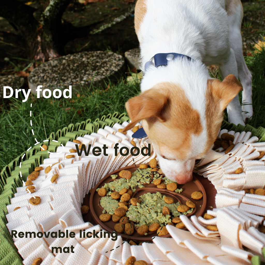 Lick Mat for Dogs