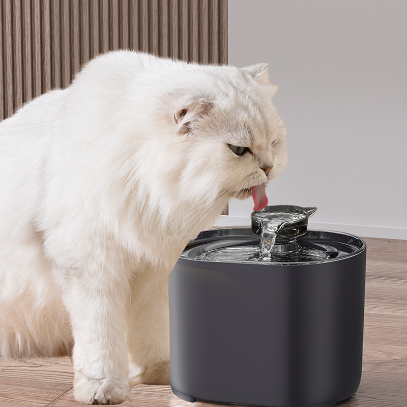 Automatischer Katzenwasserspender